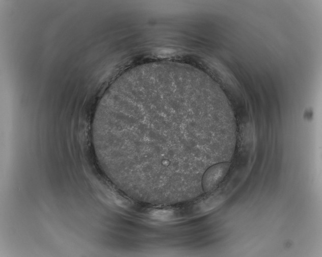 X0000090410653200707272050