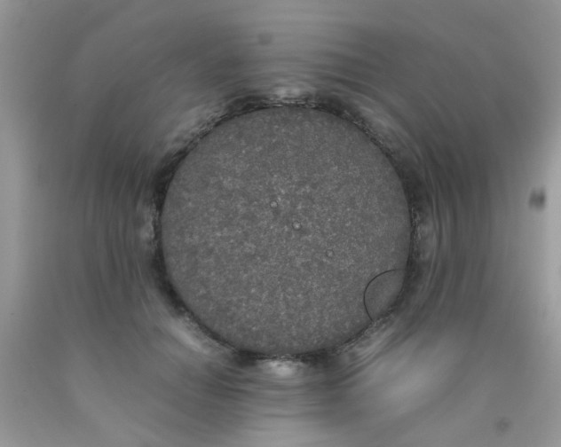 X0000090410654200707272050