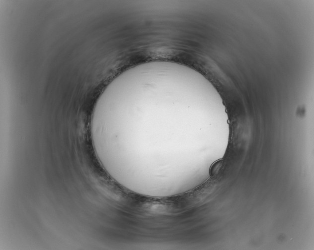 X0000090410655200707272050