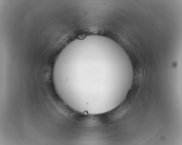X0000090410656200707272050