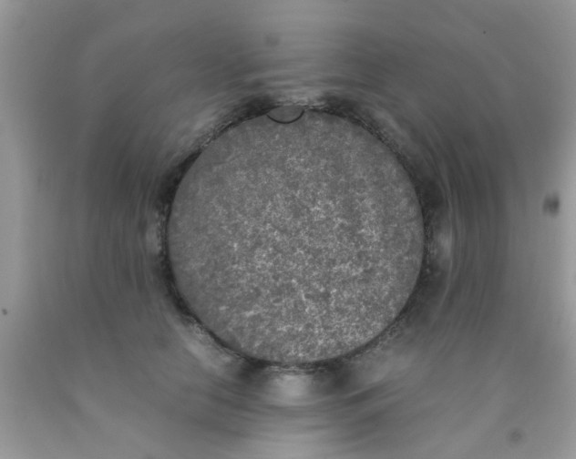 X0000090410658200707272050
