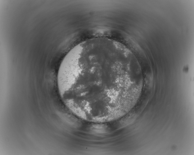 X0000090410659200707272050