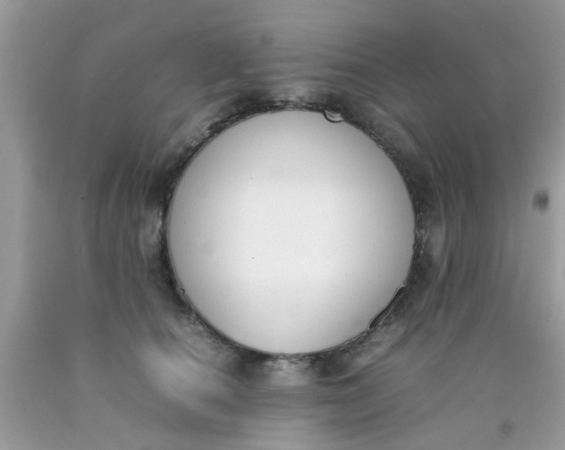 X0000090410660200707272050