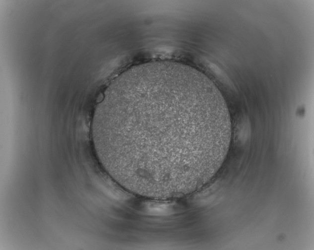 X0000090410661200707272050