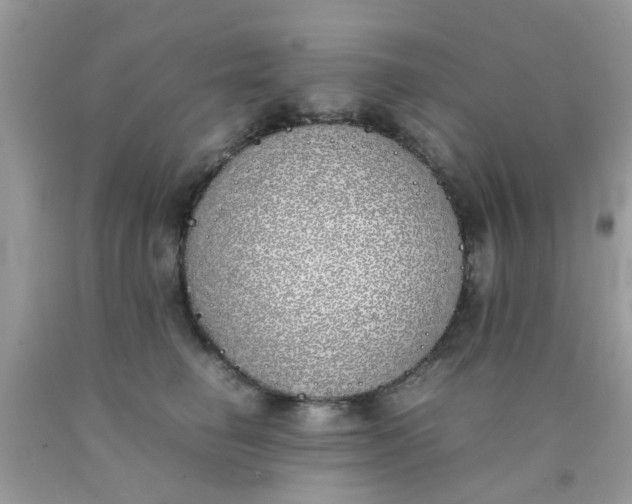 X0000090410662200707272050