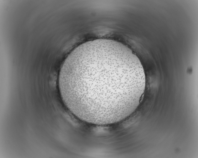 X0000090410664200707272050
