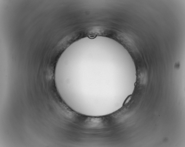 X0000090410665200707272050