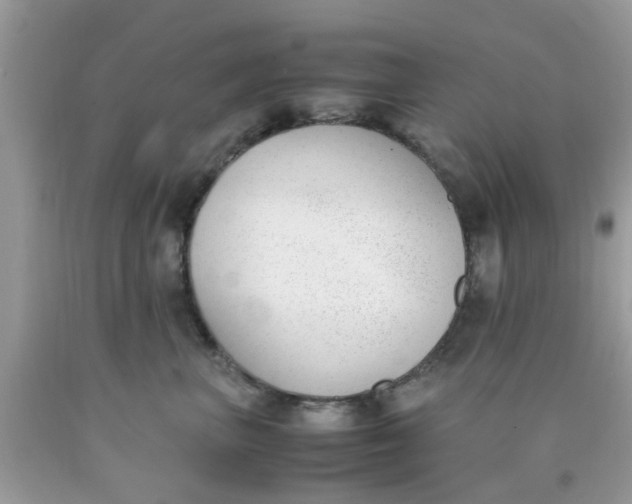 X0000090410667200707272050