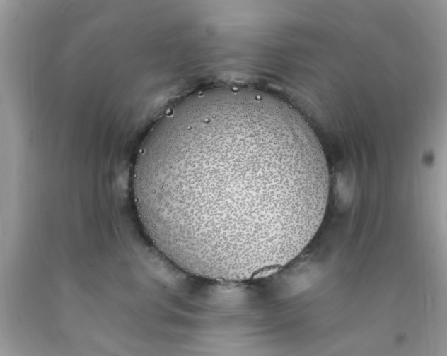 X0000090410668200707272050