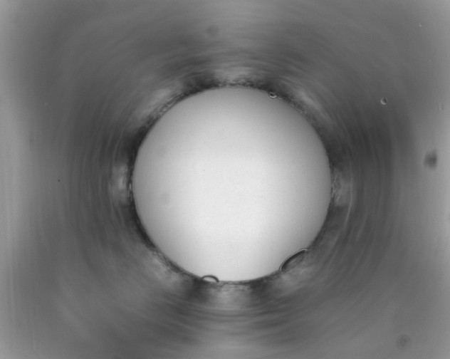 X0000090410670200707272050
