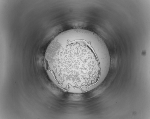 X0000090410671200707272050