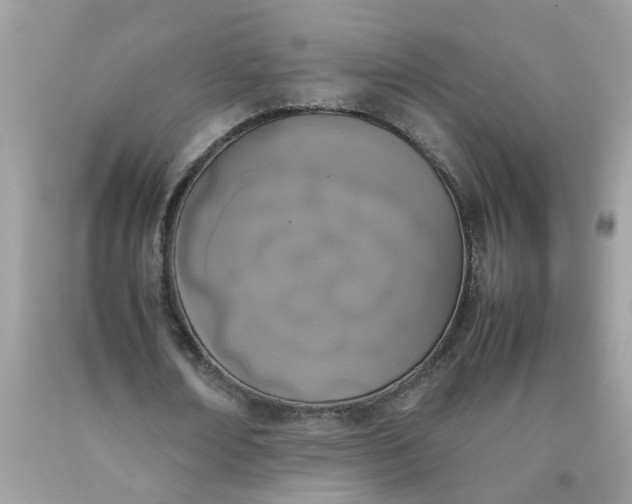 X0000090410674200707272050
