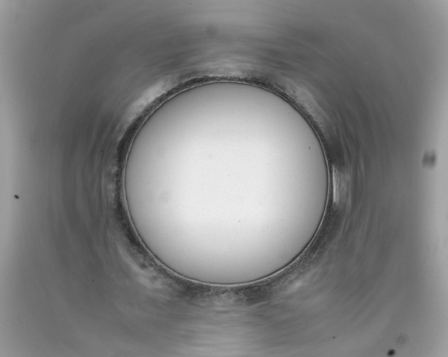 X0000090410675200707272050
