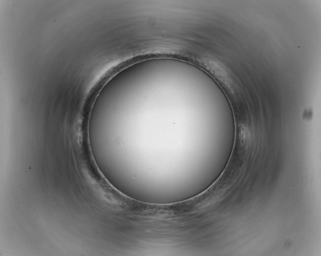 X0000090410676200707272050