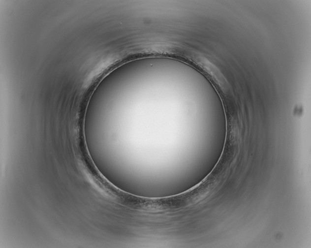 X0000090410677200707272050