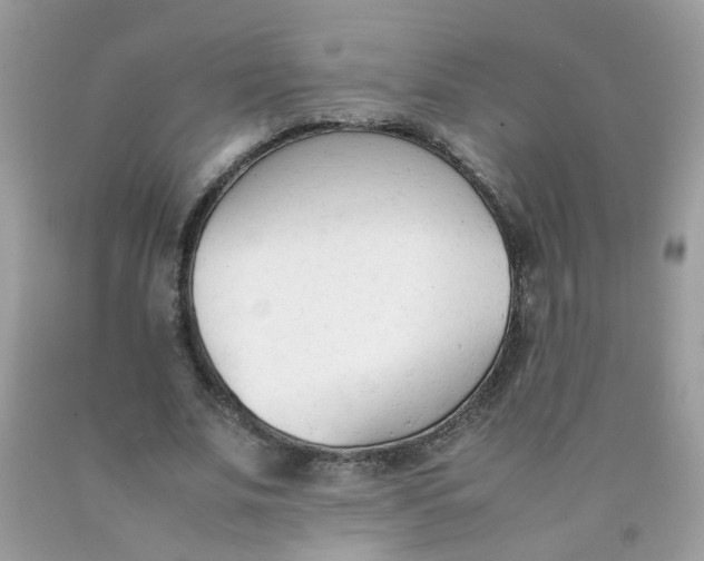 X0000090410679200707272050