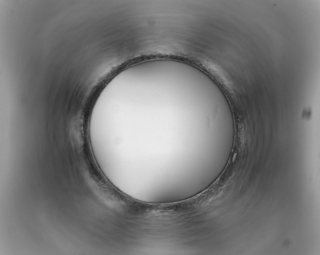X0000090410680200707272050