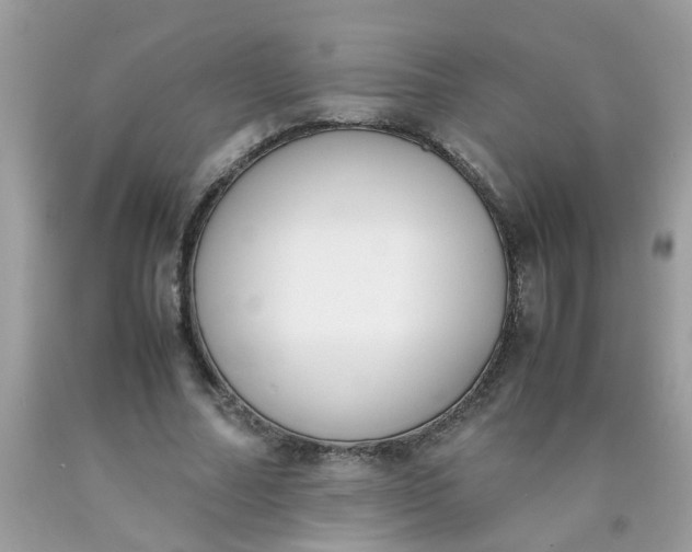 X0000090410682200707272050
