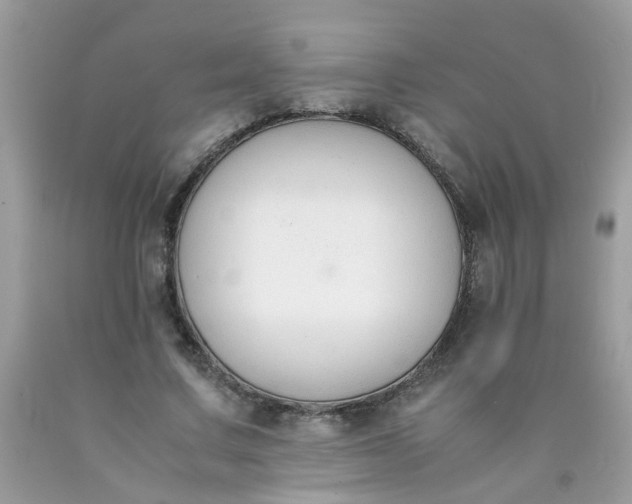 X0000090410683200707272050