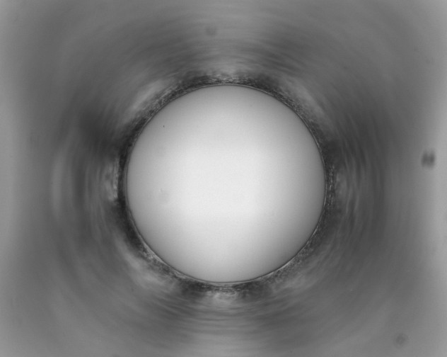 X0000090410694200707272049