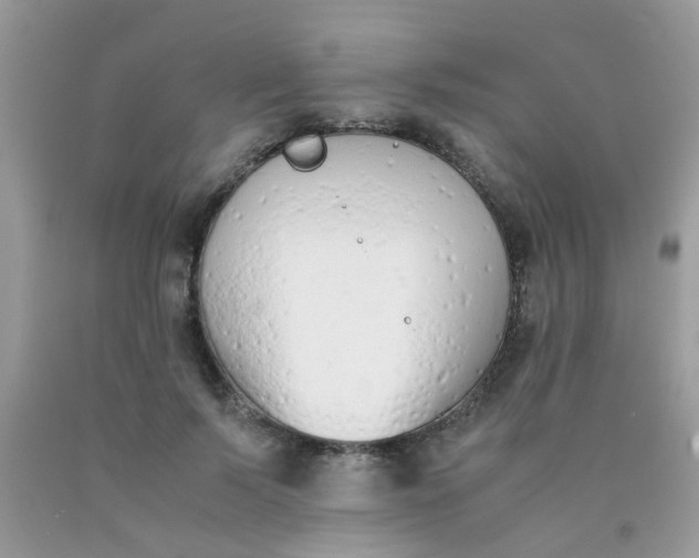 X0000090410695200707272049