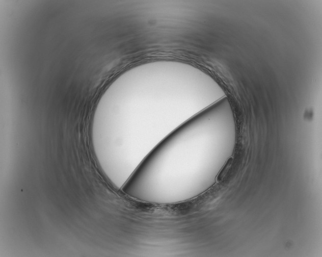X0000090410697200707272049