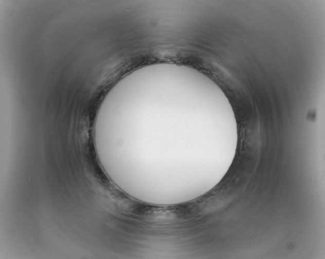 X0000090410702200707272049