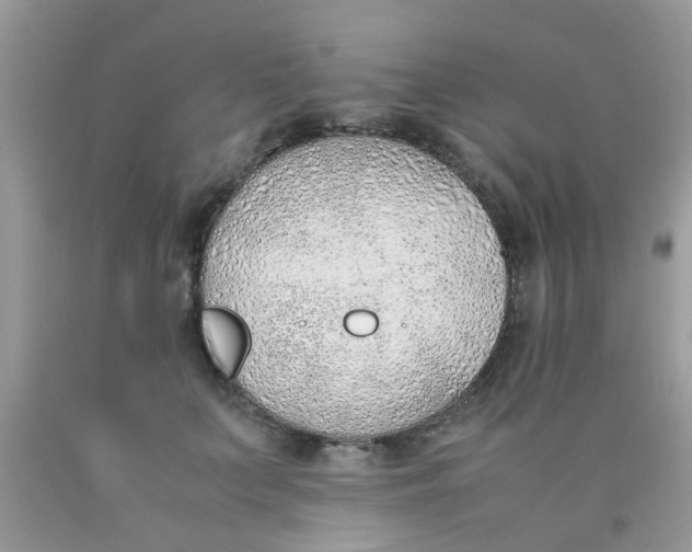 X0000090410703200707272049