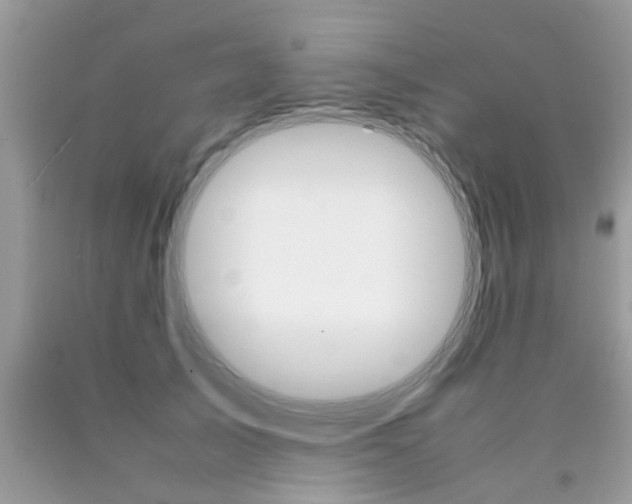 X0000090410705200707272049