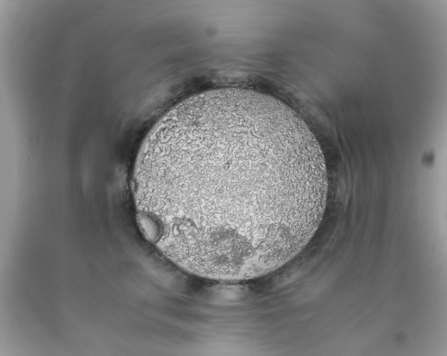 X0000090410711200707272049
