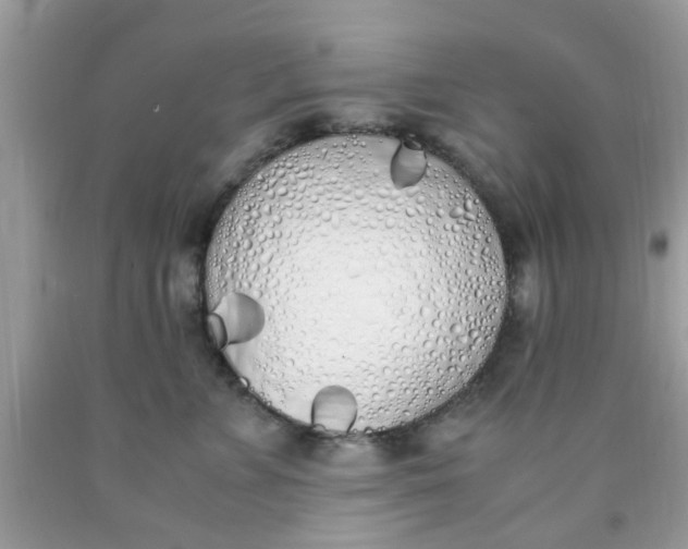 X0000090410715200707272049