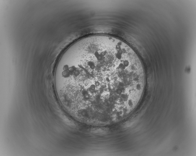 X0000090410721200707272048