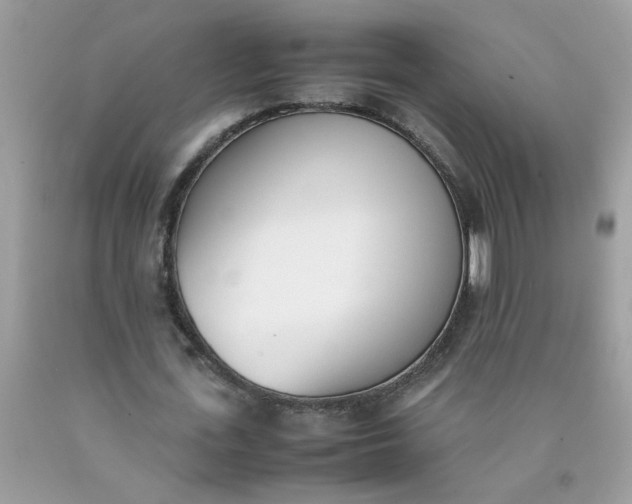 X0000090410723200707272048