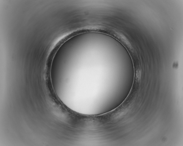 X0000090410724200707272048