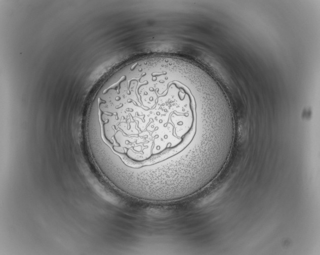 X0000090410725200707272048