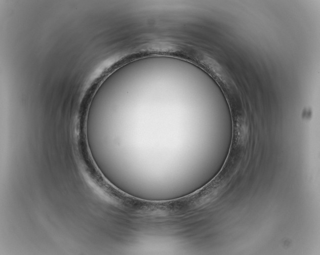 X0000090410726200707272048