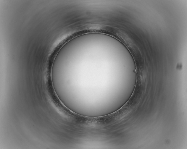 X0000090410728200707272048
