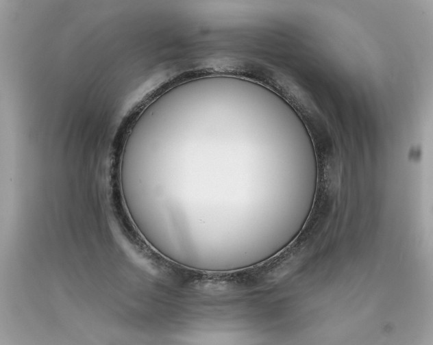 X0000090410730200707272048