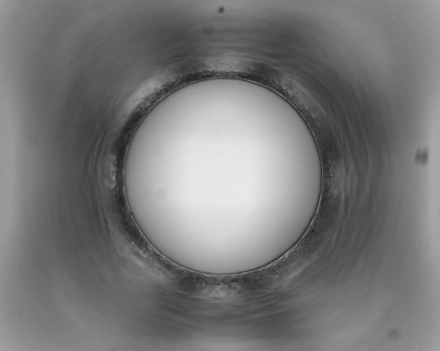 X0000090410731200707272048