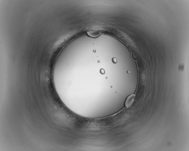 X0000090410732200707272048
