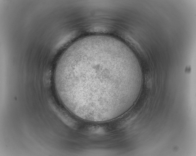 X0000090410735200707272048