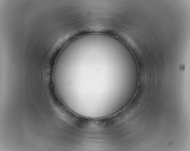 X0000090410736200707272048