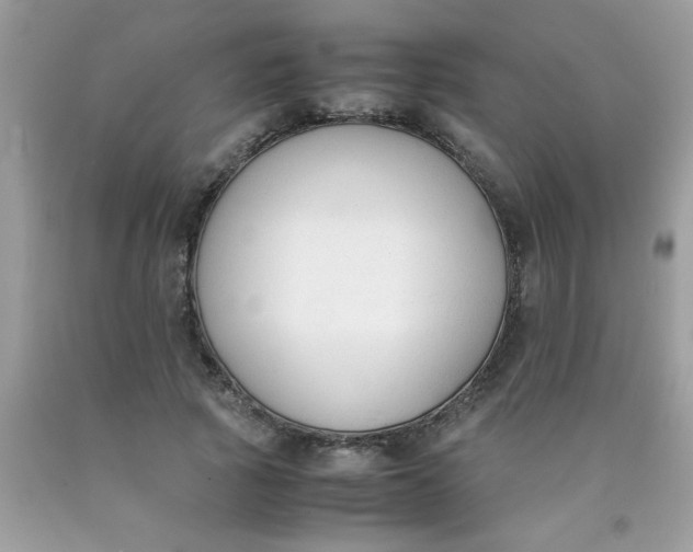 X0000090410737200707272048
