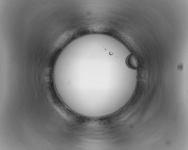 X0000090410738200707272048
