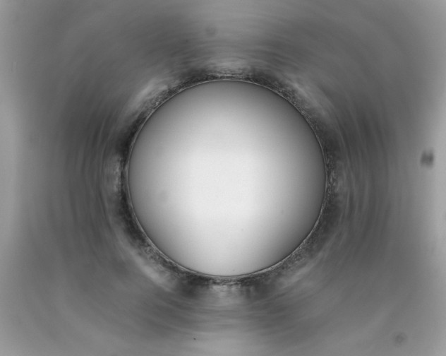 X0000090410744200707272049
