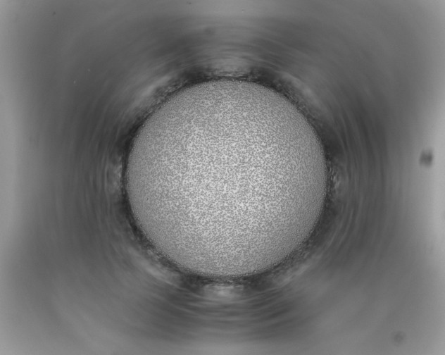 X0000090410745200707272049