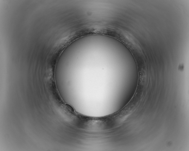 X0000090410748200707272049