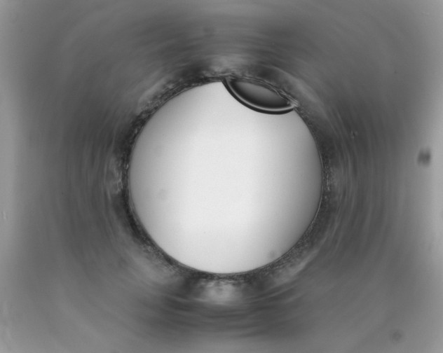 X0000090410751200707272049
