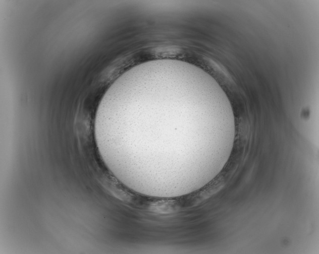 X0000090410761200707272049