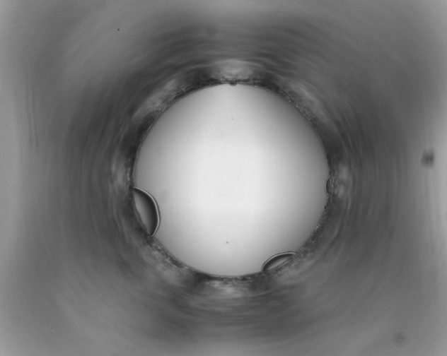 X0000090410763200707272049